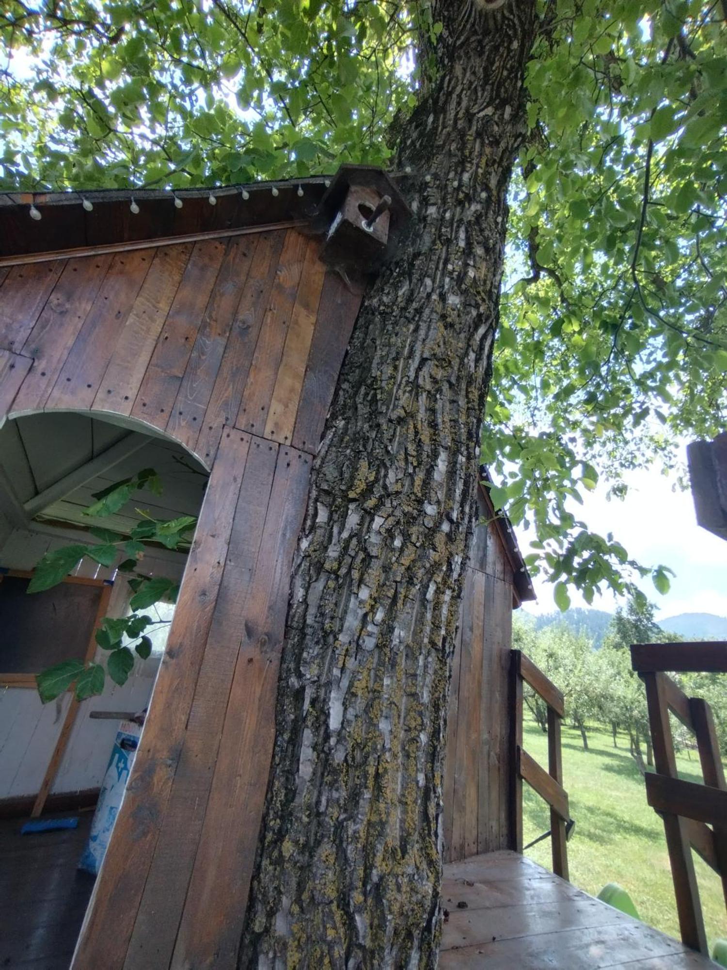 Ferienwohnung Casa Opal Săcele Exterior foto